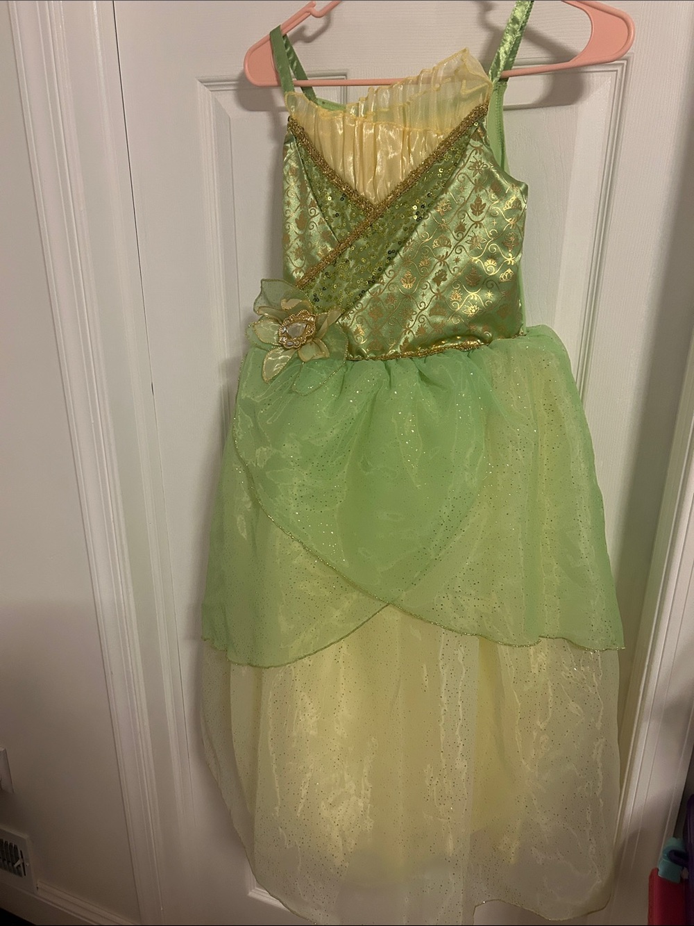Disney Princess Tiana Costume (Original)